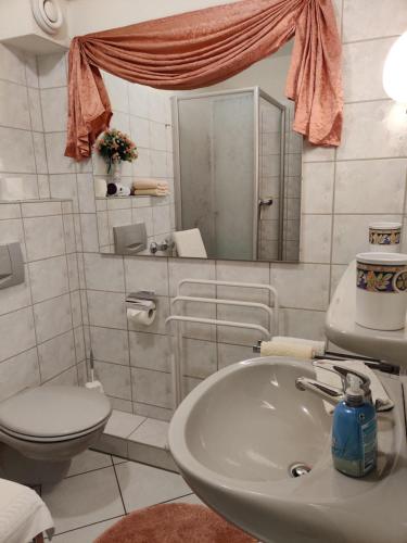 een badkamer met een wastafel, een toilet en een spiegel bij Landhaus Heide in Schneverdingen