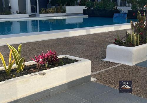 Cristian Puerto del Carmen Los Delfines