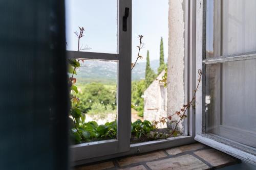 Zahrada ubytování Koraćeva kuća