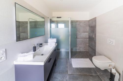 une salle de bain avec toilettes, lavabo et douche dans l'établissement Villa Wine & Roses, à Libourne