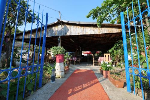 a garden entrance with a blue gate and a red carpet at Tropikal Freskia Bunec in Piqeras