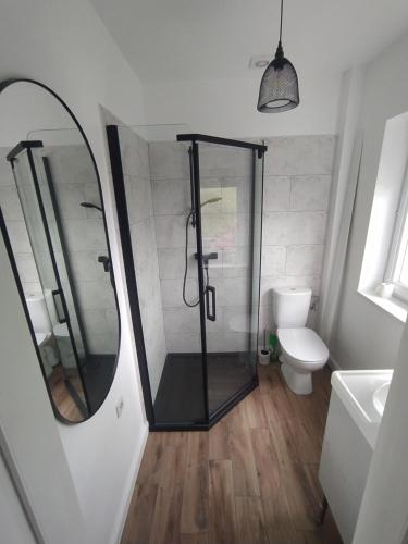 a bathroom with a shower and a toilet and a mirror at Domek letniskowy in Kolno
