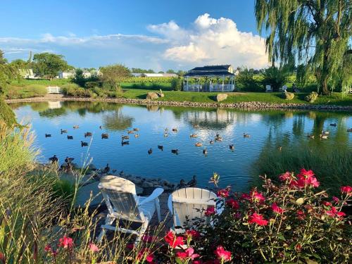 a pond with ducks and chairs in front of a building at Fulton Steamboat Inn in Lancaster