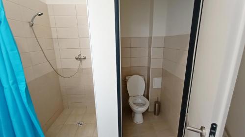 a bathroom with a toilet and a shower at Apartments Gato Karlovy Vary Stara Role in Karlovy Vary