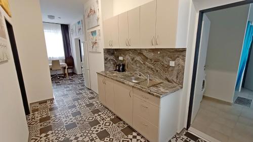 a kitchen with a sink and a counter at Apartment Gato in Karlovy Vary