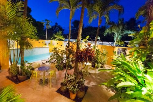 a patio with palm trees and a pool at night at Casa de Amistad Guesthouse in Vieques
