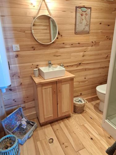 ein Bad mit einem Waschbecken und einem Spiegel in der Unterkunft Roulotte en bois in Fuveau