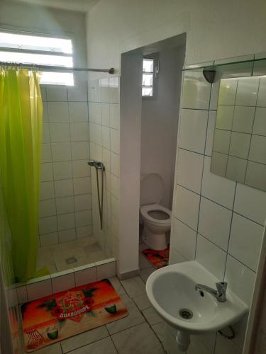 ein Bad mit einem Waschbecken, einer Dusche und einem WC in der Unterkunft La Casa Binecha avec Jacuzzi in Baillif