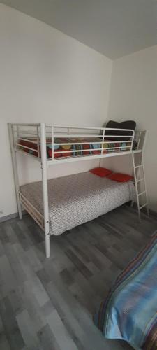 une chambre avec deux lits superposés dans une pièce dans l'établissement Appartement 2 pièces Paris 20ème, à Paris