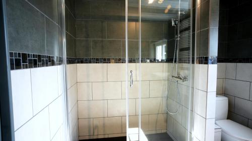 a bathroom with a shower and a toilet at La Sapinière St Lary Soulan in Saint-Lary-Soulan