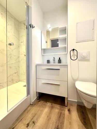 une salle de bain avec une douche, un lavabo et des toilettes dans l'établissement Bel appartement en plein centre ville, à Limoges