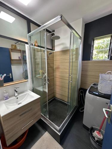 un bagno con doccia e lavandino di Trou aux Biches Apartment a Trou aux Biches