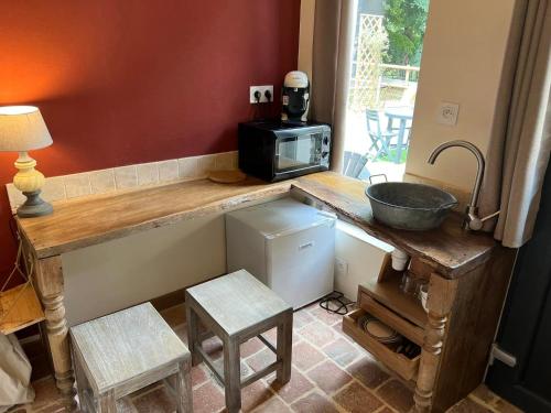 uma cozinha com um balcão com um lavatório e um micro-ondas em Mini gîte royal em Sainte-Gemme-la-Plaine