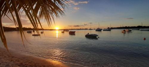 Coco Lux Studio Grand Baie