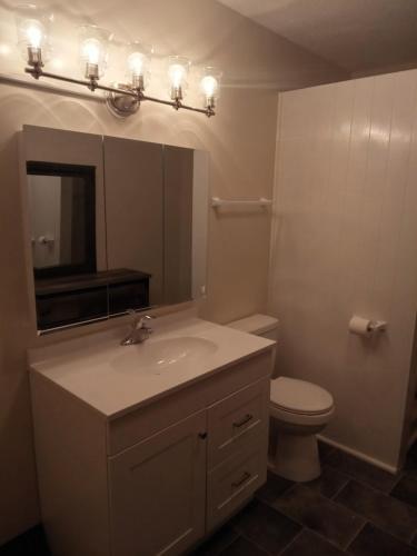 a bathroom with a sink and a toilet and a mirror at E. Michigan Walk Up Furnished 2 Bedroom APT in Lansing