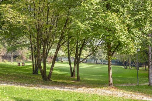 a group of trees in a park with green grass at Haus Granata Family - Trekking - Bike in Giazza