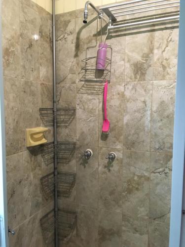 a shower with a glass door with a pink shower head at Private room with air conditioning in Downtown Office Parking in León
