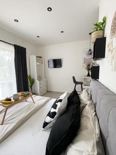 Cozy Studio Apartment with Terrace + Free Parking