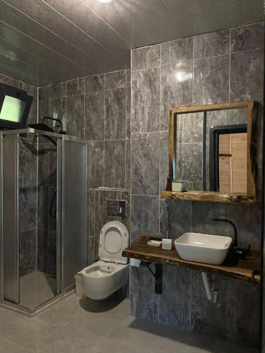 a bathroom with a toilet and a sink and a mirror at Tepe Dağ Evleri in Çamlıhemşin