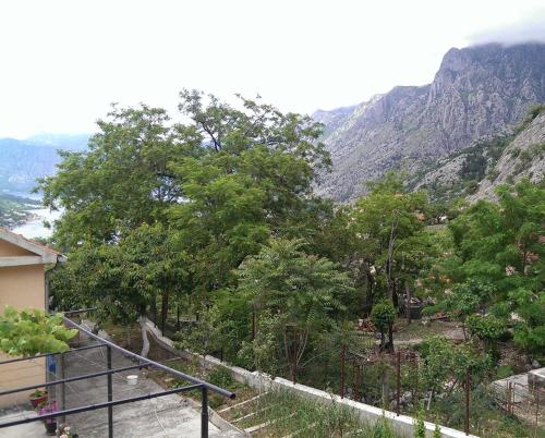 Gallery image of Olive Apartment in Kotor