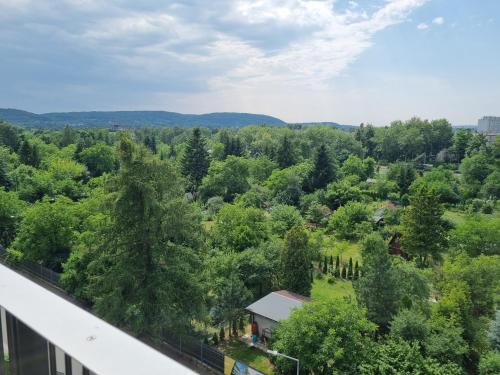 - une vue sur la forêt depuis le balcon d'une maison dans l'établissement Stańczyka Apartment, à Cracovie