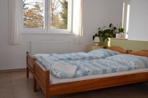 Ένα ή περισσότερα κρεβάτια σε δωμάτιο στο DIVADELNÍ PENZION