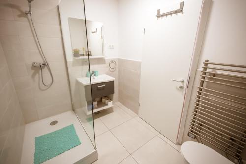 a bathroom with a shower and a toilet and a sink at Apartma Sofija, Moravski Dvori in Moravske Toplice