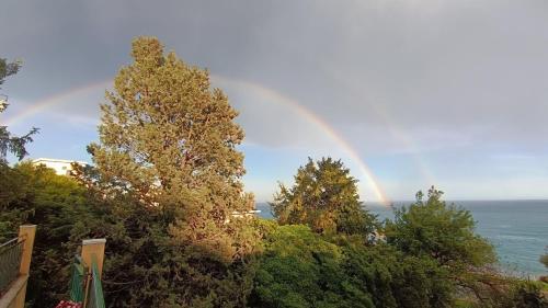 a rainbow in the sky over the ocean with trees at Hotel Sereno in Cogoleto