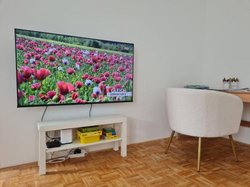 uma sala de estar com uma televisão de ecrã plano na parede em Best Time In Graz em Graz
