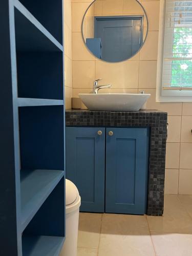 ein blaues Badezimmer mit einem Waschbecken und einem Spiegel in der Unterkunft El nido del tucán in Torio