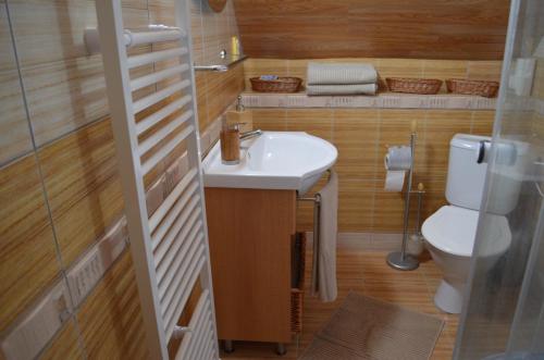 uma casa de banho com um lavatório e um WC em Chaloupka v Branne em Branná