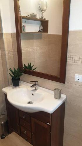a bathroom with a sink and a mirror at Casă privată in Rozavlea