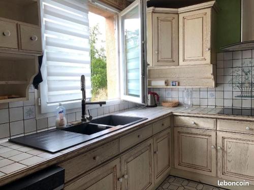 eine Küche mit einem Waschbecken und einem Fenster in der Unterkunft Le Domaine de la Cloche in Saint Pavace