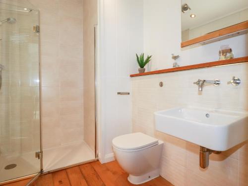 een badkamer met een toilet, een wastafel en een douche bij 6 Water's Edge in Looe
