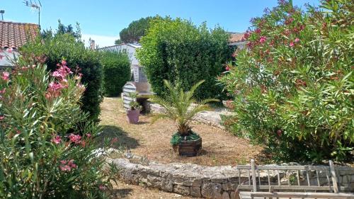 a garden with trees and plants in a yard at LE clos do ré in Sainte-Marie-de-Ré