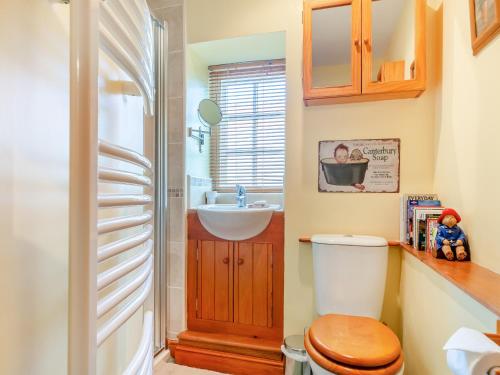 a bathroom with a toilet and a sink at Maple Cottage in Slingsby