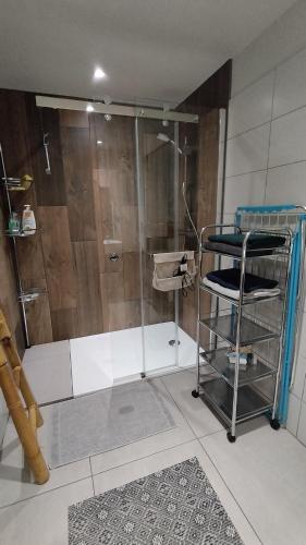 une douche avec une porte vitrée dans une salle de bain dans l'établissement Ruthene Etape Appartement T3, à Rodez