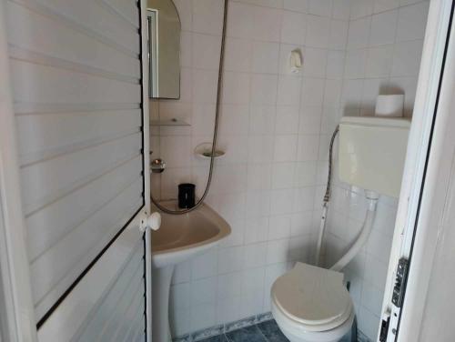 a small bathroom with a toilet and a sink at Стаи за гости Кичка in Shkorpilovtsi