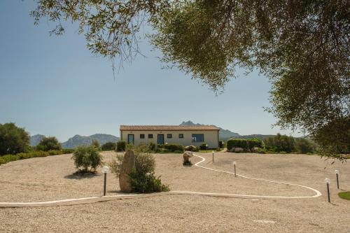 a house in the middle of a field with a building at B&B Terra e Smeralda in Arzachena