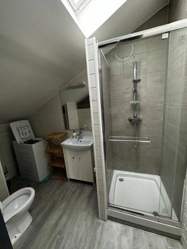 een badkamer met een douche, een toilet en een wastafel bij Très beau studio in Thierville-sur-Meuse