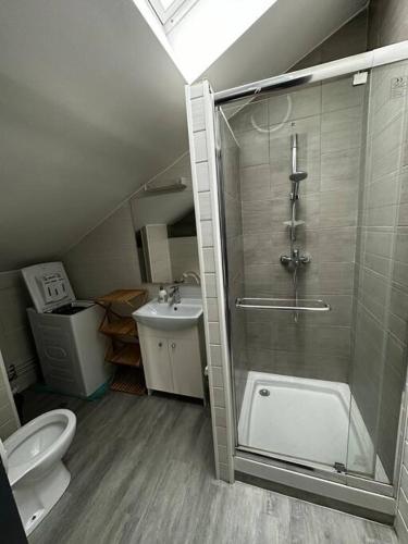 une salle de bain avec une douche, des toilettes et un lavabo dans l'établissement Studio - THIERVILLE - Proche Régiment - Stationnement facile - Géré par Presta-Zen'Services, à Thierville-sur-Meuse