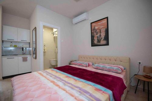 1 dormitorio con 1 cama grande y 2 almohadas en Apartmani Berdovic en Trebinje