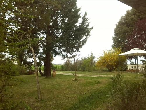 Gallery image of B&B Il Nido Di Alice in Moresco