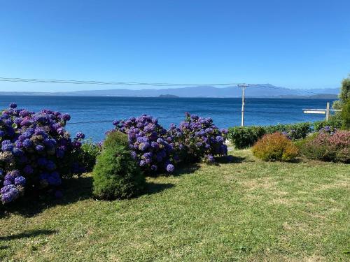 a row of bushes with purple flowers in front of the water at Cabañas Ranco Lauken in Lago Ranco