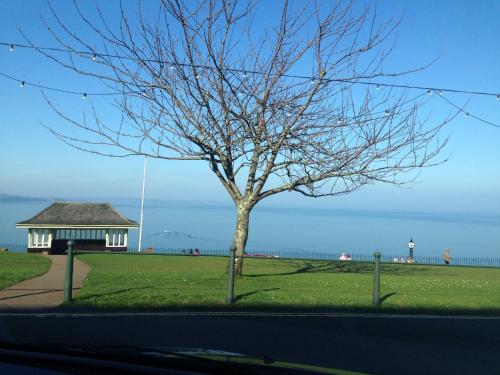 a tree in a field with a building and a lighthouse at The Babbacombe Hotel in Torquay