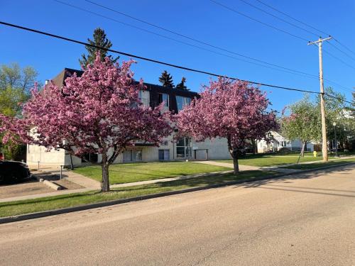duas árvores em frente a uma casa com flores cor-de-rosa em Exquisite 2 Bedroom Apartment em Camrose