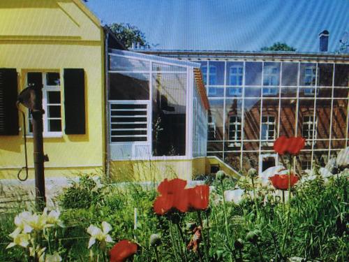 a garden with red flowers in front of a building at Gutshaus mit Seeblick - ökologisch & nachhaltig in Lübow