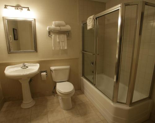 ein Bad mit einem WC, einer Dusche und einem Waschbecken in der Unterkunft Beaumont Hotel 