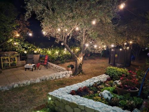 a garden at night with lights on a tree at "La casetta" indipendente, con ampio spazio verde in Fontechiari