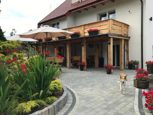 a dog walking in front of a house at Ranczo Popowice in Pątnów